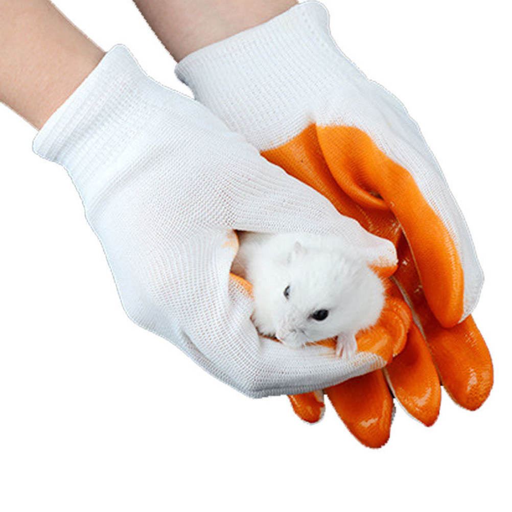 1Pair Animals Handling Anti-Bi - đánh giá và giá Cut Resistant Glove