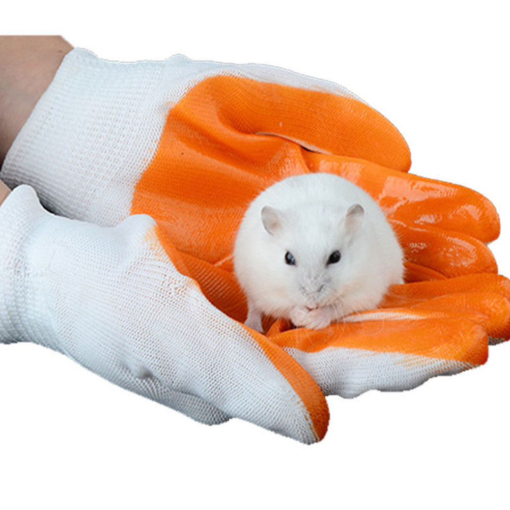 1Pair Animals Handling Anti-Bi - đánh giá và giá Cut Resistant Glove